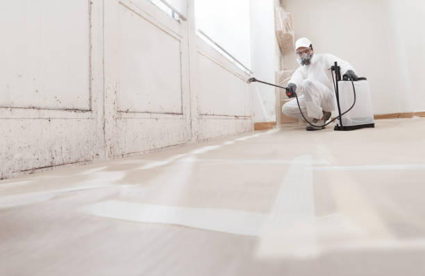 24/7 Emergency Crawl Space Mold Remediation experts in Manchester, KY