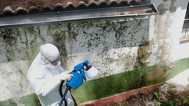 Top rated local Crawl Space Mold Remediation specialists in Manchester, KY
